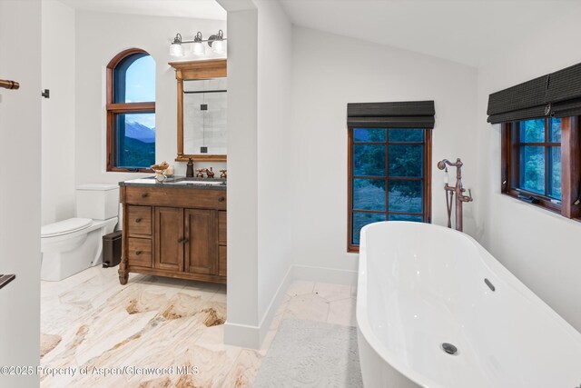 1108 County Road 110, Glenwood Springs, CO 81601 - full bath featuring toilet, a freestanding tub, vanity, plenty of natural light, and lofted ceiling