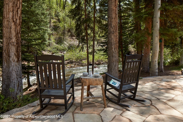 143 N Conundrum Creek Rd, Aspen, CO 81611 - view of patio