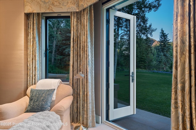 64 Pitkin Way, Aspen, CO 81611 - view of doorway to outside