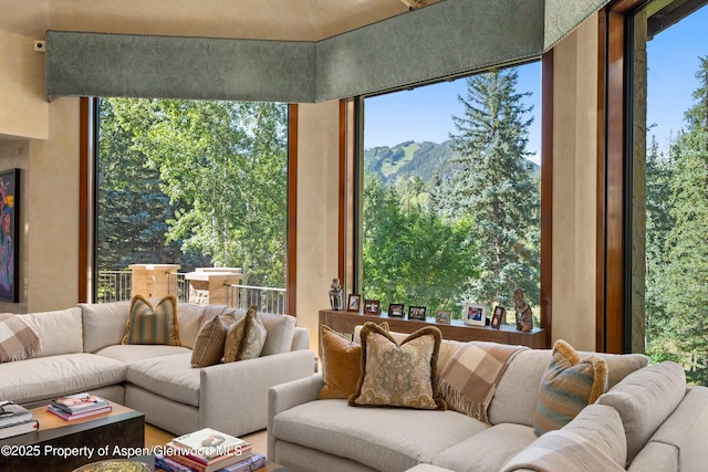 64 Pitkin Way, Aspen, CO 81611 - living area featuring a mountain view