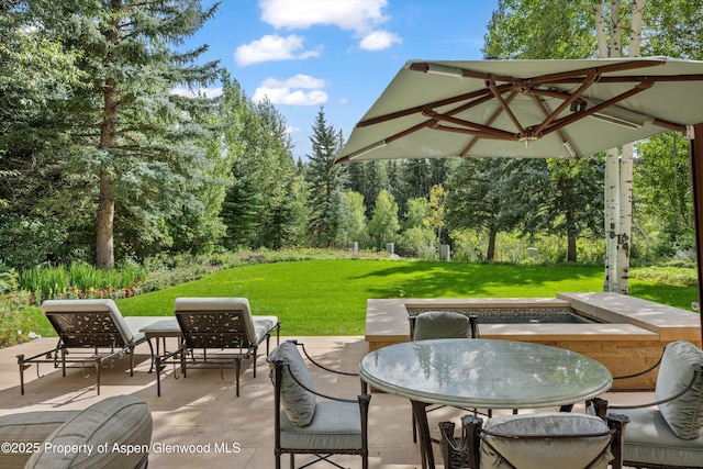 64 Pitkin Way, Aspen, CO 81611 - view of patio featuring a view of trees