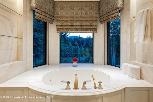64 Pitkin Way, Aspen, CO 81611 - full bathroom with a jetted tub