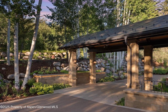 64 Pitkin Way, Aspen, CO 81611 - view of home's community featuring a patio