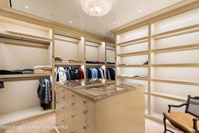 view of spacious closet