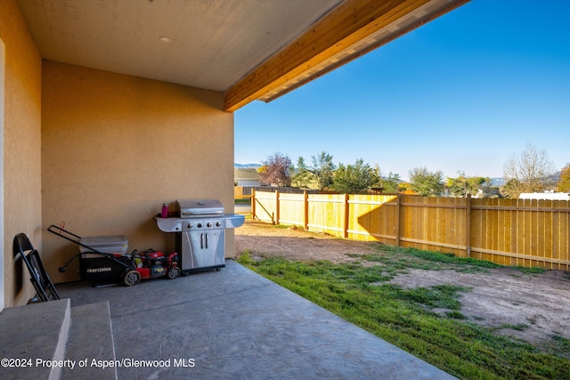 view of patio / terrace featuring area for grilling