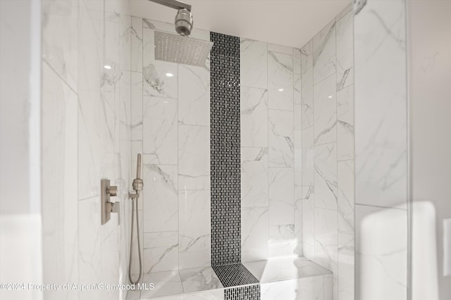 interior details with tiled shower