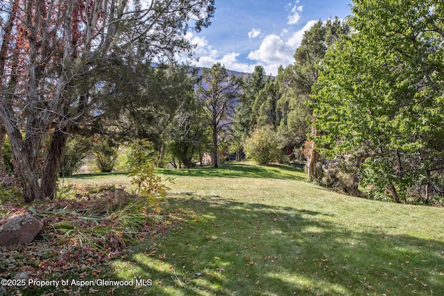 172 Sunny Acres Rd, Glenwood Springs, CO 81601 - view of grassy yard