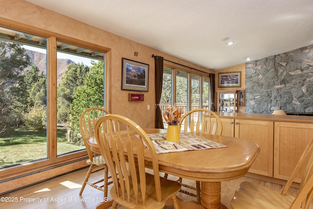 172 Sunny Acres Rd, Glenwood Springs, CO 81601 - dining room featuring light wood-style floors and a baseboard radiator