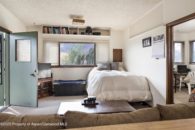 172 Sunny Acres Rd, Glenwood Springs, CO 81601 - bedroom featuring carpet flooring, multiple windows, and a textured ceiling