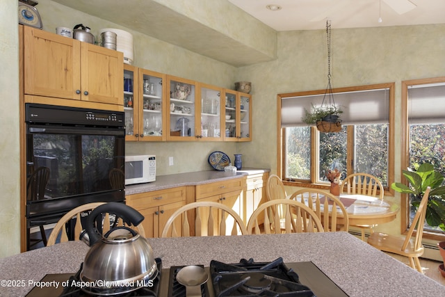 172 Sunny Acres Rd, Glenwood Springs, CO 81601 - kitchen with white microwave, glass insert cabinets, and light countertops