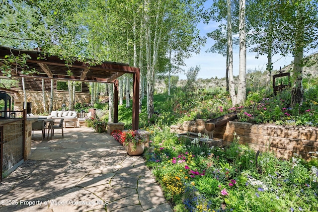 1000 Lazy O Rd, Snowmass, CO 81654 - view of patio / terrace featuring a pergola and an outdoor living space