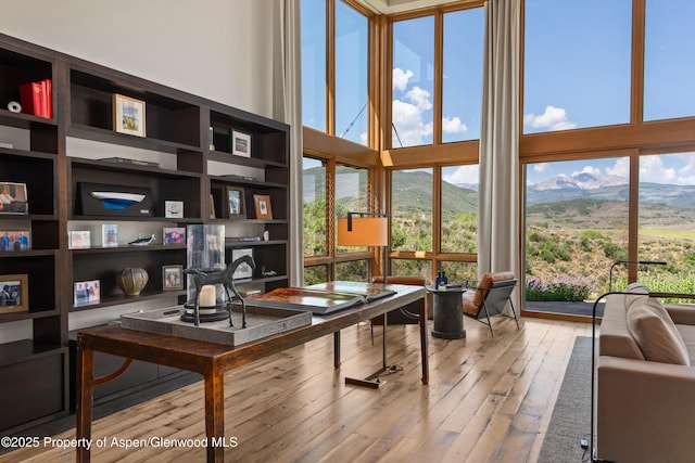 1000 Lazy O Rd, Snowmass, CO 81654 - office space with hardwood / wood-style flooring, a high ceiling, and a mountain view