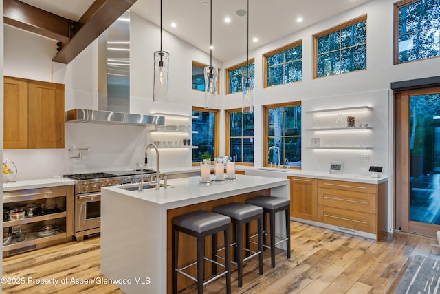 1000 Lazy O Rd, Snowmass, CO 81654 - kitchen with a sink, light wood finished floors, wall chimney range hood, and light countertops