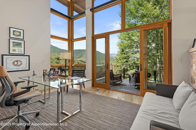 1000 Lazy O Rd, Snowmass, CO 81654 - interior space with a wall of windows, a high ceiling, a mountain view, and wood finished floors