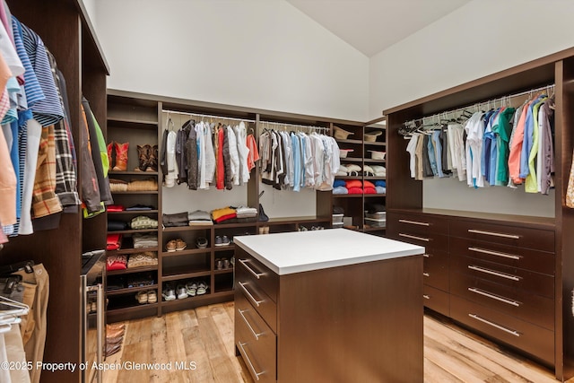 1000 Lazy O Rd, Snowmass, CO 81654 - spacious closet with light wood-style floors and vaulted ceiling