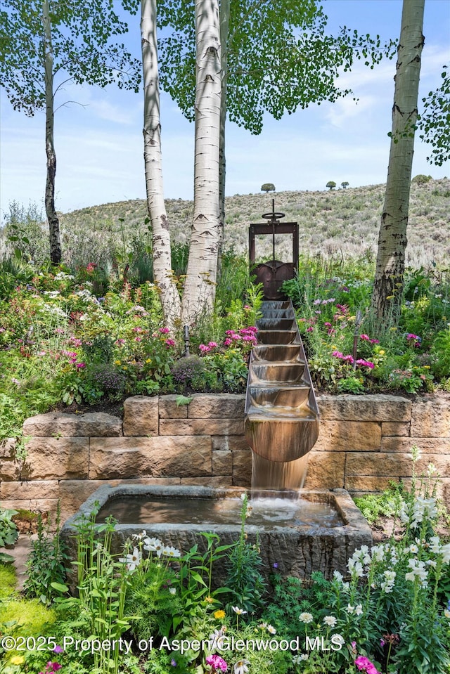 1000 Lazy O Rd, Snowmass, CO 81654 - view of yard