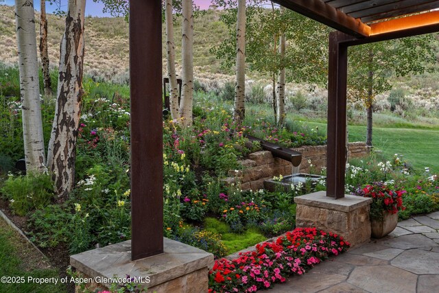 1000 Lazy O Rd, Snowmass, CO 81654 - view of yard featuring a pergola