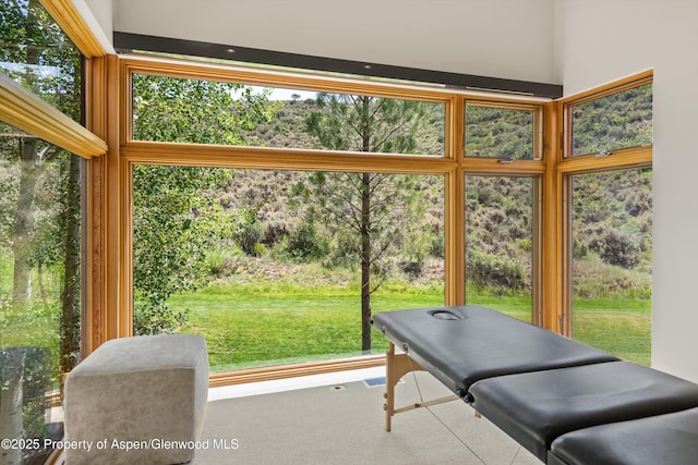 1000 Lazy O Rd, Snowmass, CO 81654 - sunroom / solarium featuring plenty of natural light