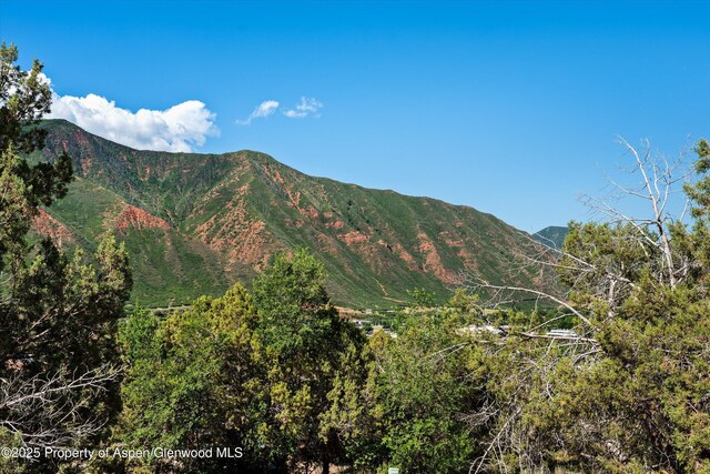 73 Cardinal Ln, Glenwood Springs, CO 81601 - photo 24