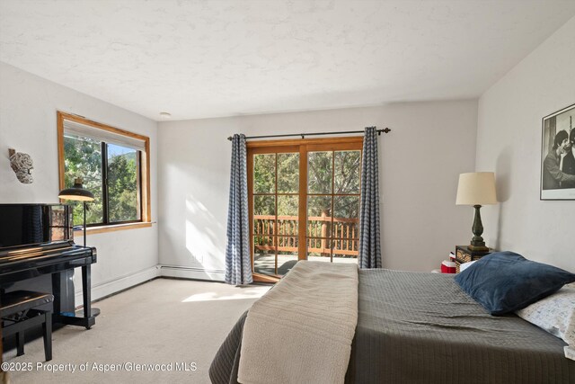 73 Cardinal Ln, Glenwood Springs, CO 81601 - photo 12