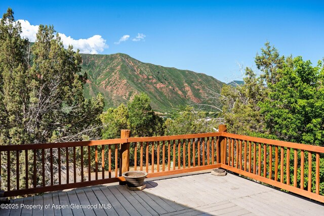 73 Cardinal Ln, Glenwood Springs, CO 81601 - photo 22