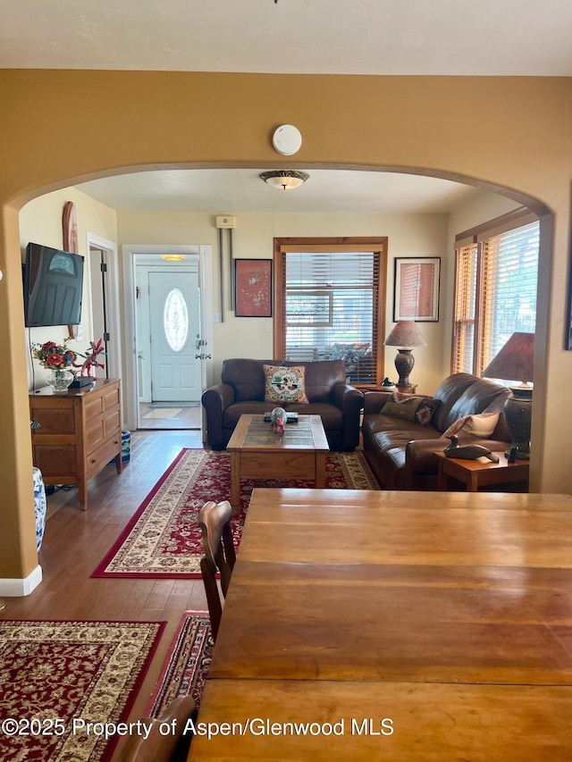 living room featuring plenty of natural light, wood finished floors, and arched walkways