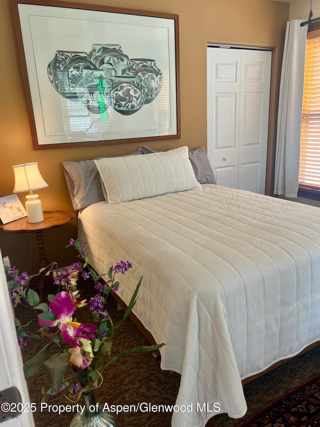 bedroom with a closet