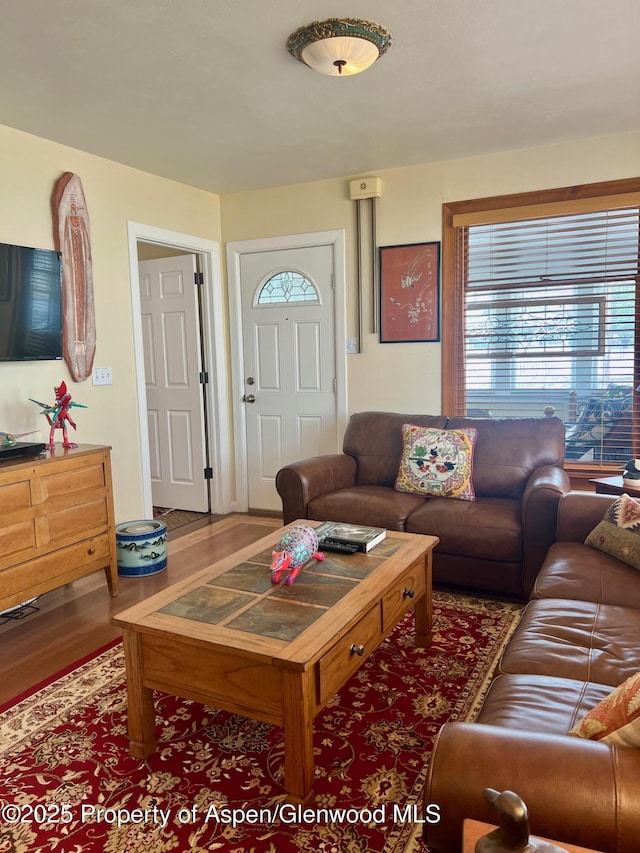living room with wood finished floors