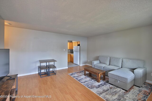 living room featuring light hardwood / wood-style flooring and a textured ceiling