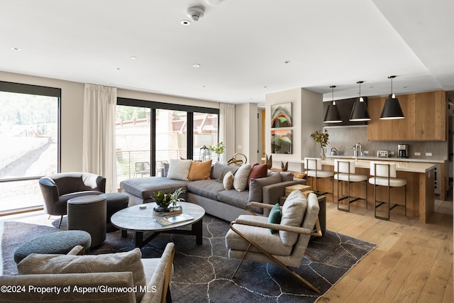 living room with light hardwood / wood-style floors