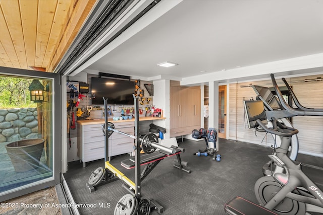 87 Magnifico Dr, Aspen, CO 81611 - view of workout room