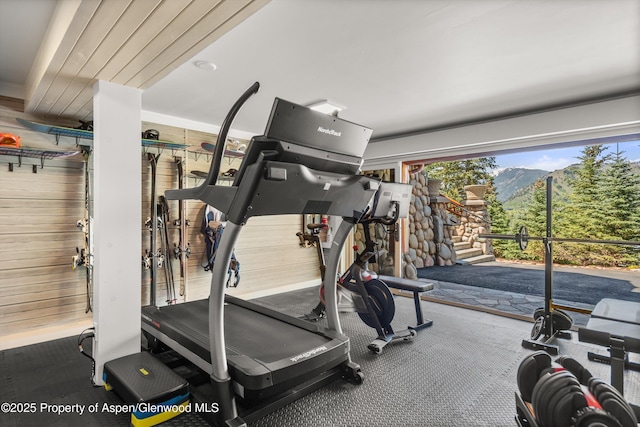 87 Magnifico Dr, Aspen, CO 81611 - workout room with a mountain view