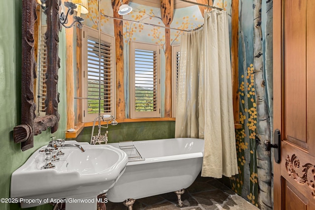 87 Magnifico Dr, Aspen, CO 81611 - bathroom with a freestanding bath and a sink