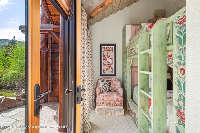 87 Magnifico Dr, Aspen, CO 81611 - view of bedroom