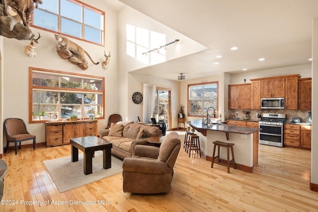 living room featuring a high ceiling, sink, and light hardwood / wood-style flooring