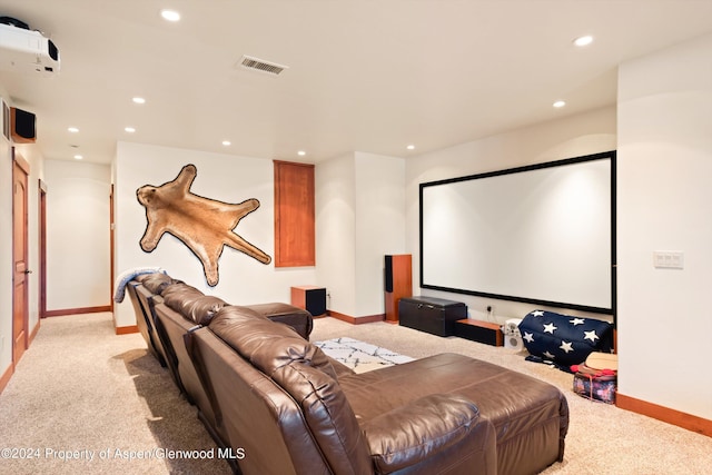 view of carpeted home theater