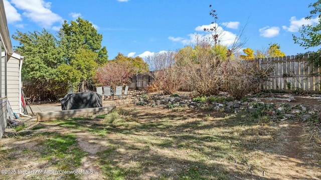 view of yard featuring a fenced backyard and a patio