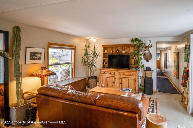 137 Ridge Trl, Aspen, CO 81611 - photo 5