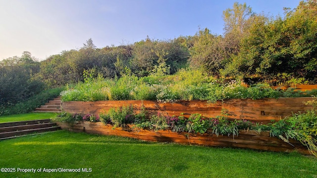 137 Ridge Trl, Aspen, CO 81611 - photo 1