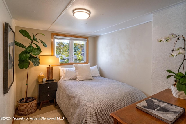 137 Ridge Trl, Aspen, CO 81611 - photo 15