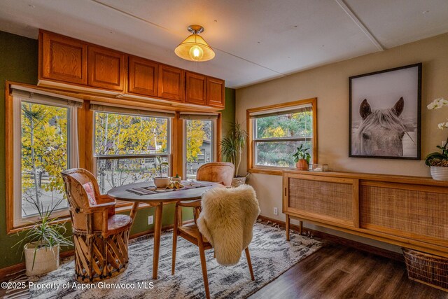 137 Ridge Trl, Aspen, CO 81611 - photo 8
