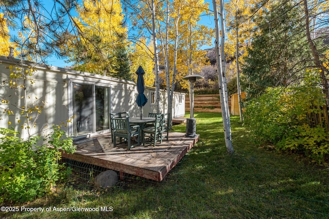 137 Ridge Trl, Aspen, CO 81611 - photo 28