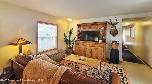 137 Ridge Trl, Aspen, CO 81611 - photo 2