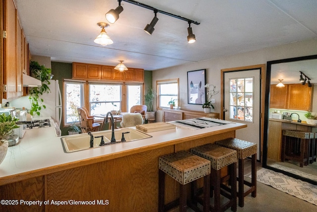 137 Ridge Trl, Aspen, CO 81611 - photo 10