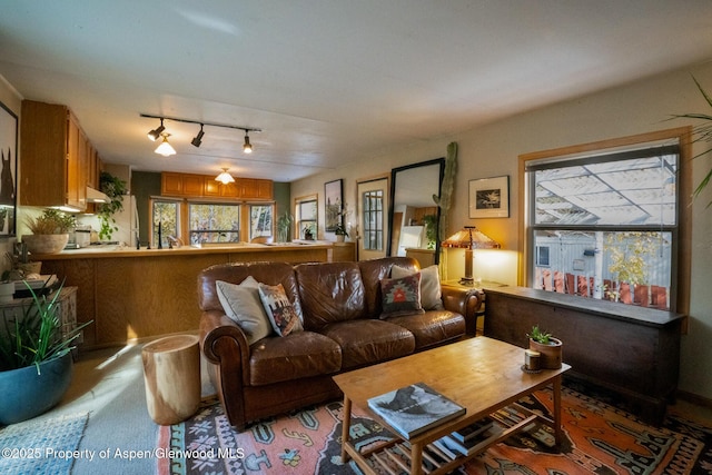 137 Ridge Trl, Aspen, CO 81611 - photo 4