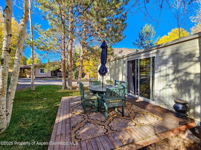137 Ridge Trl, Aspen, CO 81611 - photo 25