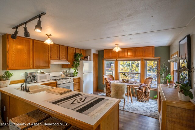 137 Ridge Trl, Aspen, CO 81611 - photo 7