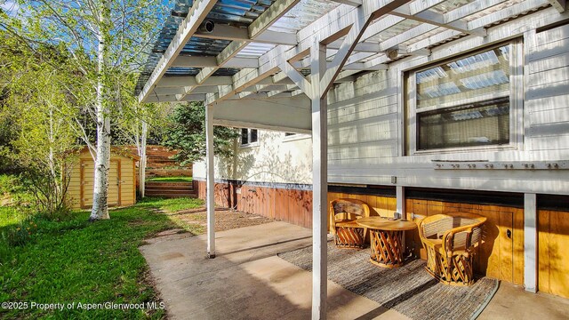 137 Ridge Trl, Aspen, CO 81611 - photo 17
