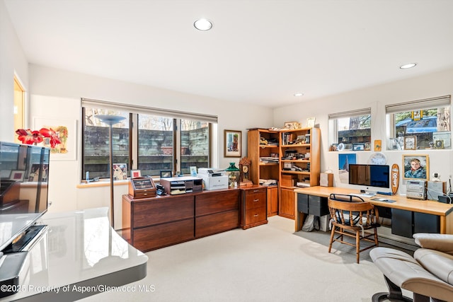 333 W Hopkins Ave, Aspen, CO 81611 - carpeted office space featuring recessed lighting