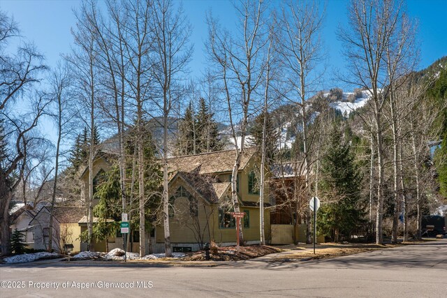333 W Hopkins Ave, Aspen, CO 81611 - exterior space